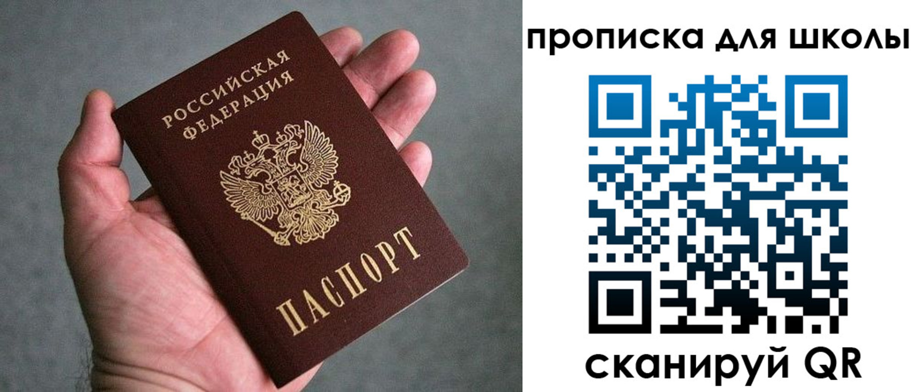 прописка для школы в Цимлянске